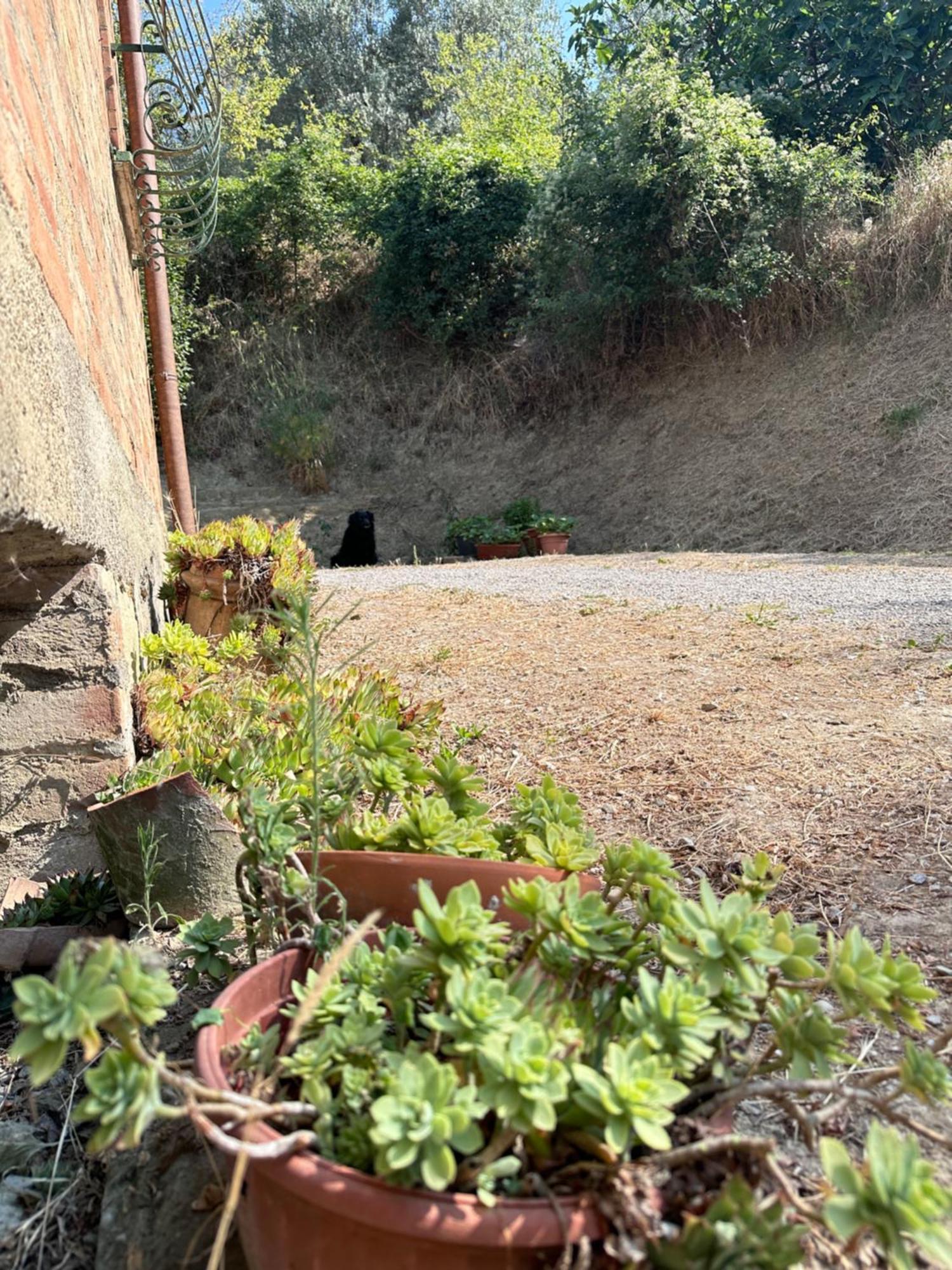 Agriturismo San Biagio Villa มอนติปุลเชียโน ภายนอก รูปภาพ