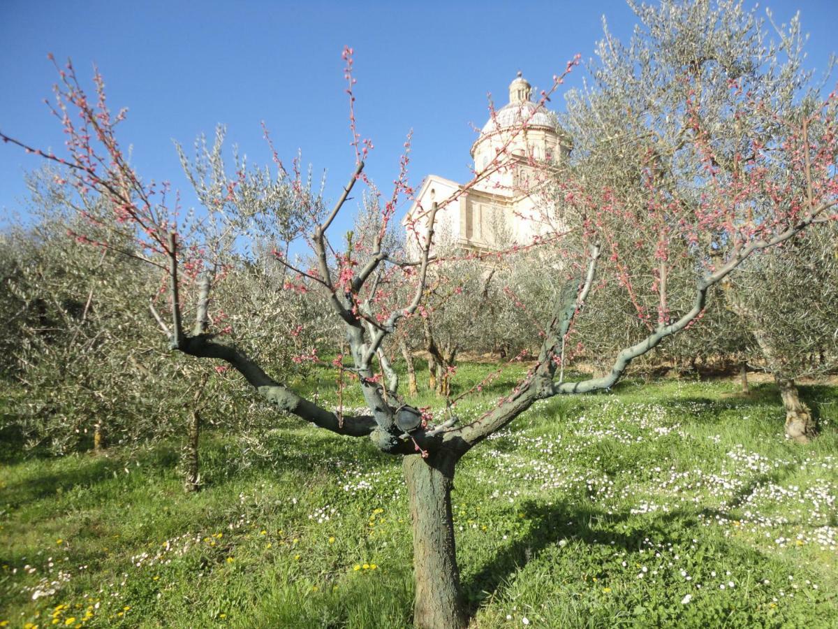 Agriturismo San Biagio Villa มอนติปุลเชียโน ภายนอก รูปภาพ